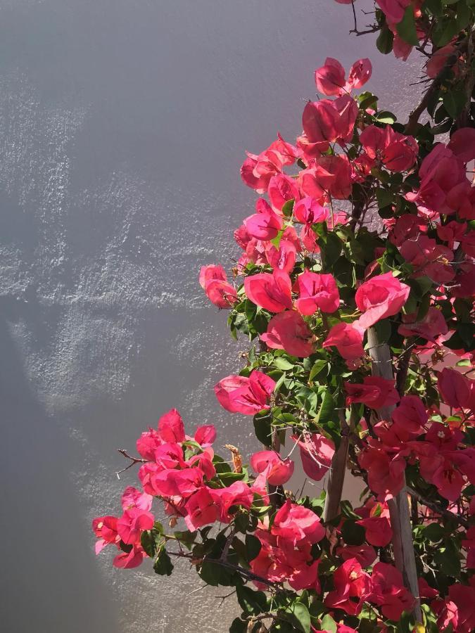 Yakinthos 4* Mykonos Town